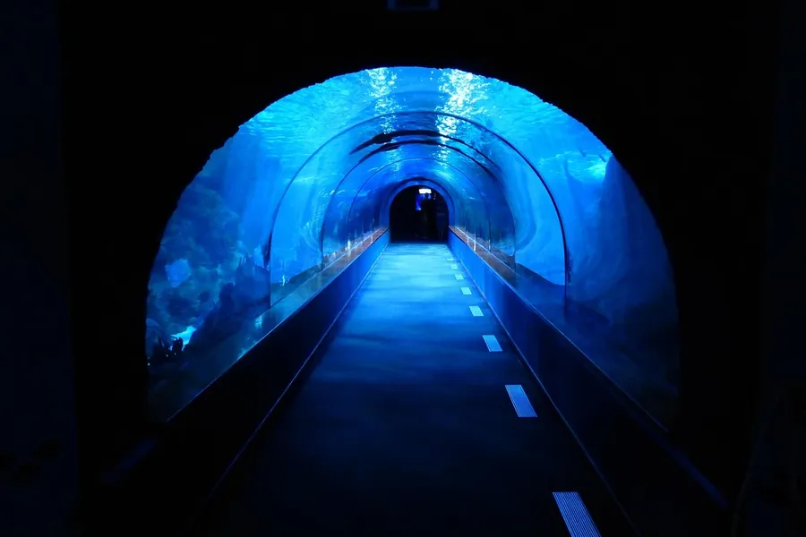 ExtremActive – Czołgi