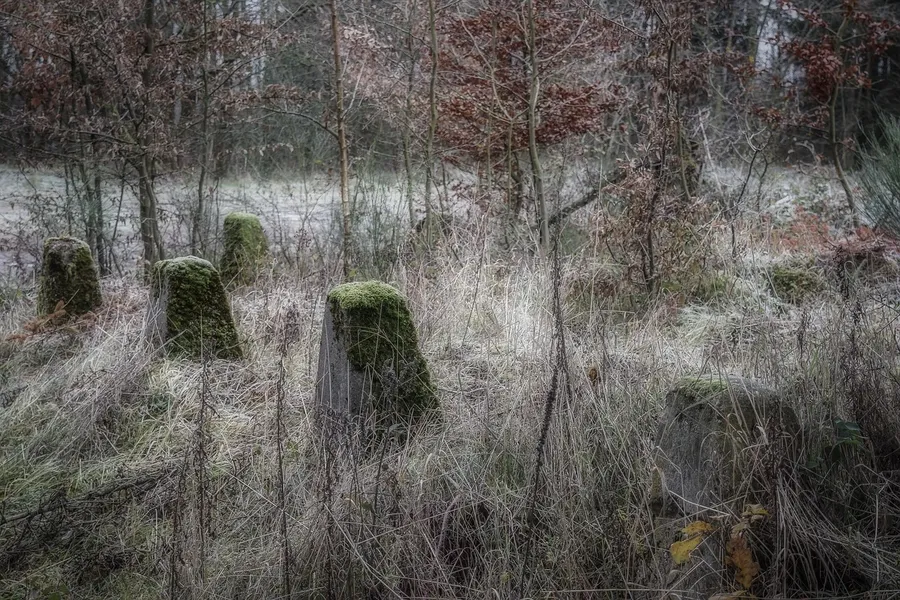 ExtremActive – Czołgi