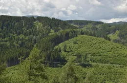 Pierwszy Krok w Biznesie – wyniki ankiety