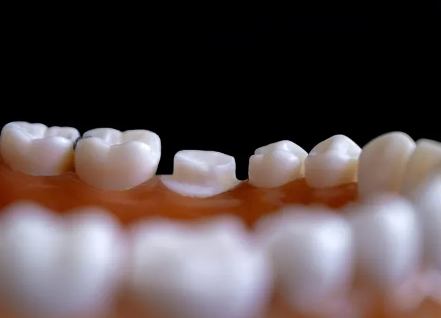 Implactive 2012 070.JPG