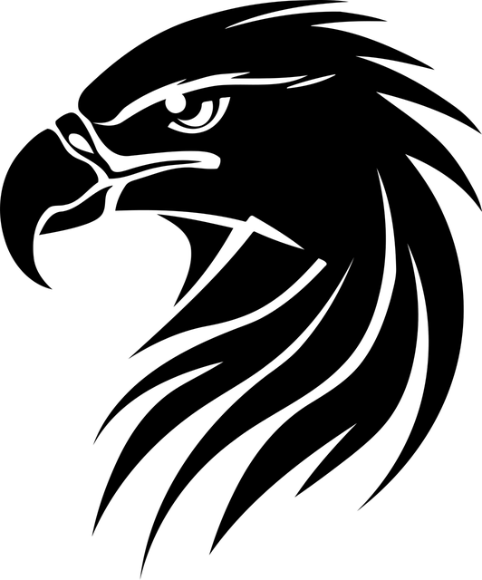 logo DM